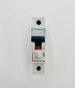 INT AUTOMATICO 1X 2A C 6/10KA LEGRAND